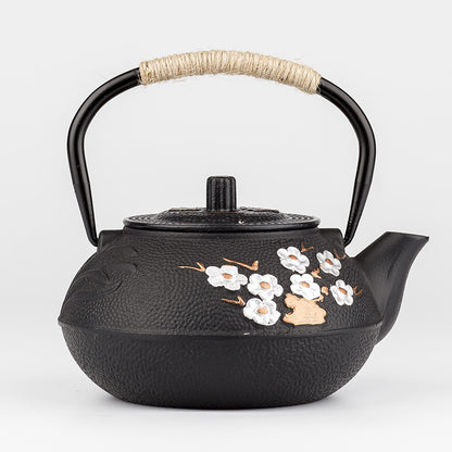 Théière en Fonte Japonaise - Zanroku